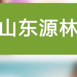 山東源林：生產廠家3A分子篩原粉簡述